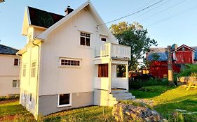 Solrik Beliggenhet I Lofotens Storste Fiskevaer